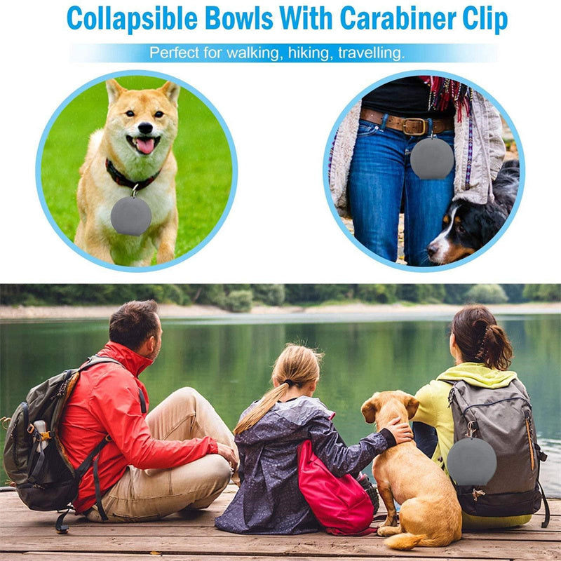 Foldable Double Bowl Pet Feeding Station for Dogs and Cats