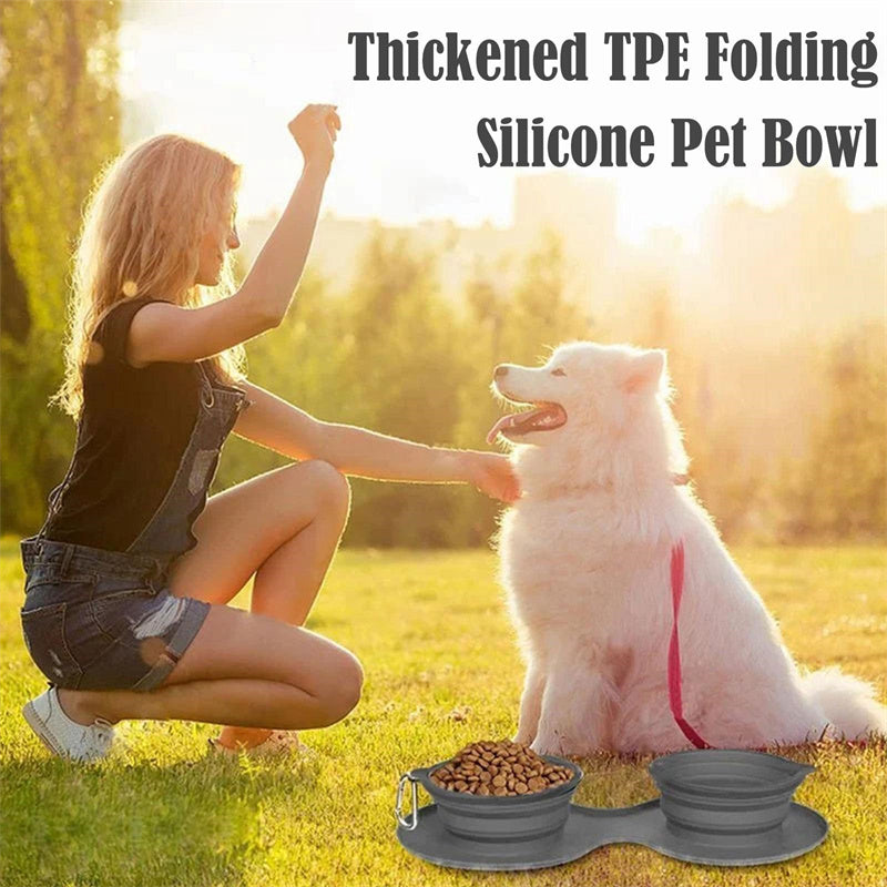 Foldable Double Bowl Pet Feeding Station for Dogs and Cats