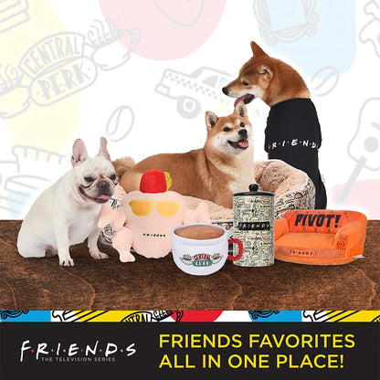 Friends Merchandise: Classic TV Show Dog Collar in Black with D-Ring for Medium Breeds