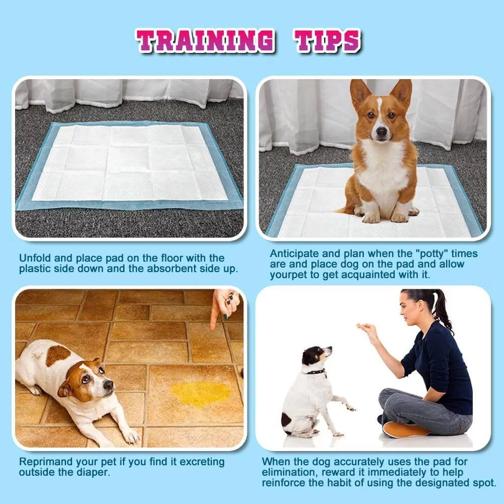 150 Count Medium (30" x 36") Super Absorbent Dog and Puppy Training Pads