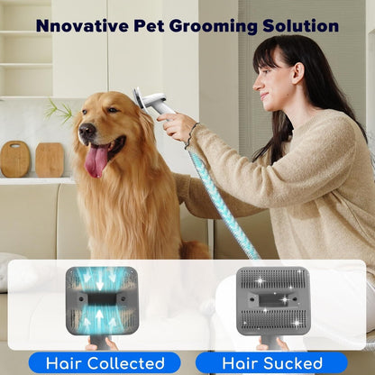 Professional Dog Grooming Kit with High-Power Vacuum and 15000 Pa Suction Capacity