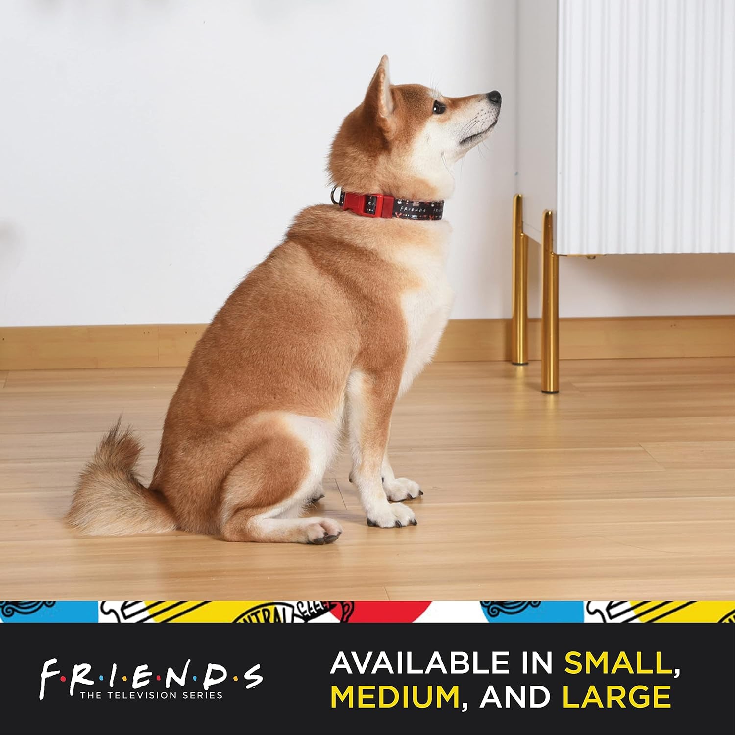 Friends Merchandise: Classic TV Show Dog Collar in Black with D-Ring for Medium Breeds